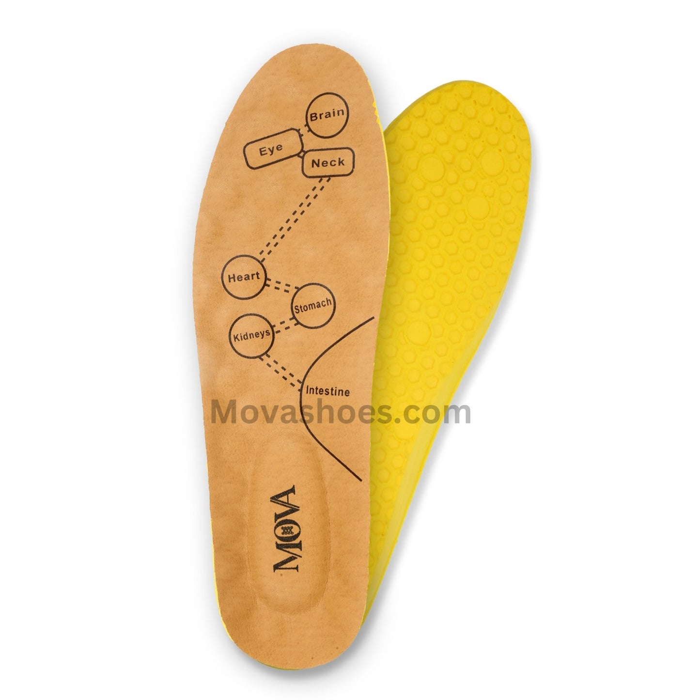 Mova Premium Inner Sole (Imported)